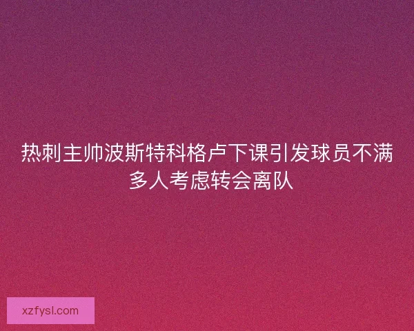 热刺主帅波斯特科格卢下课引发球员不满 多人考虑转会离队