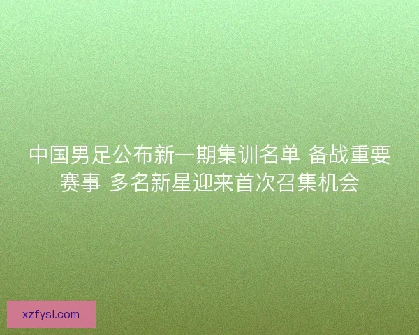 中国男足公布新一期集训名单 备战重要赛事 多名新星迎来首次召集机会