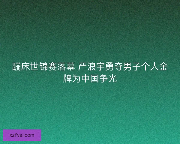 蹦床世锦赛落幕 严浪宇勇夺男子个人金牌为中国争光