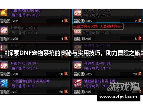 《探索DNF宠物系统的奥秘与实用技巧，助力冒险之旅》